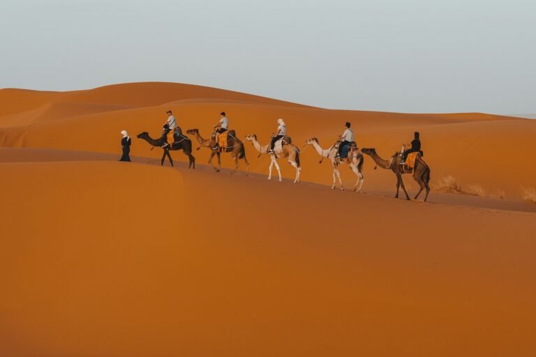 3 Days Desert Tour from Marrakech to Fes